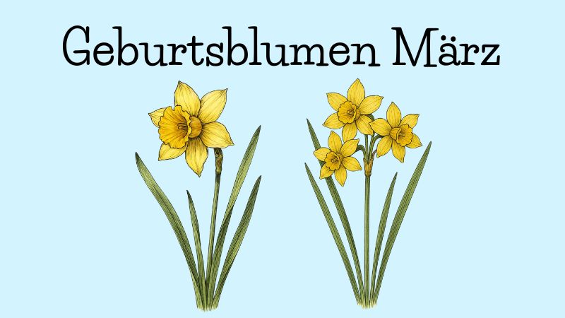 Geburtsblumen März
