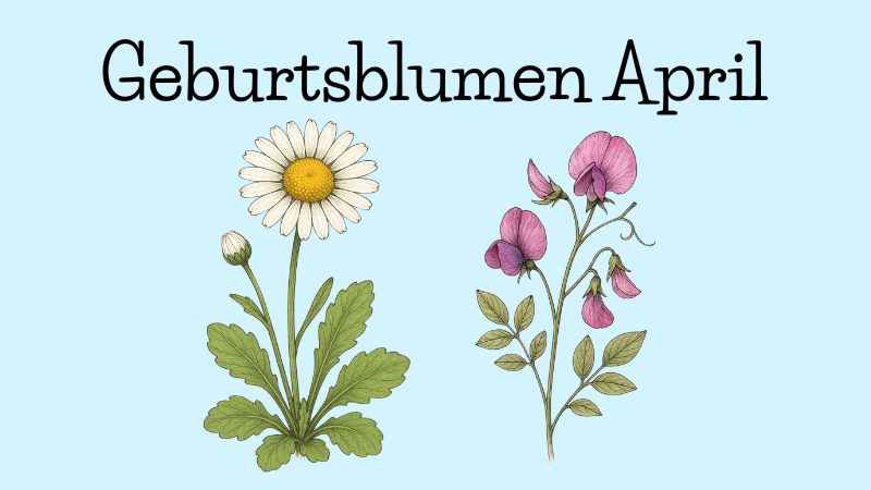 Geburtsblumen April