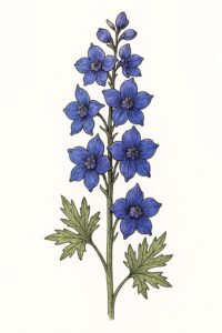 Geburtsblume Juli: Rittersporn